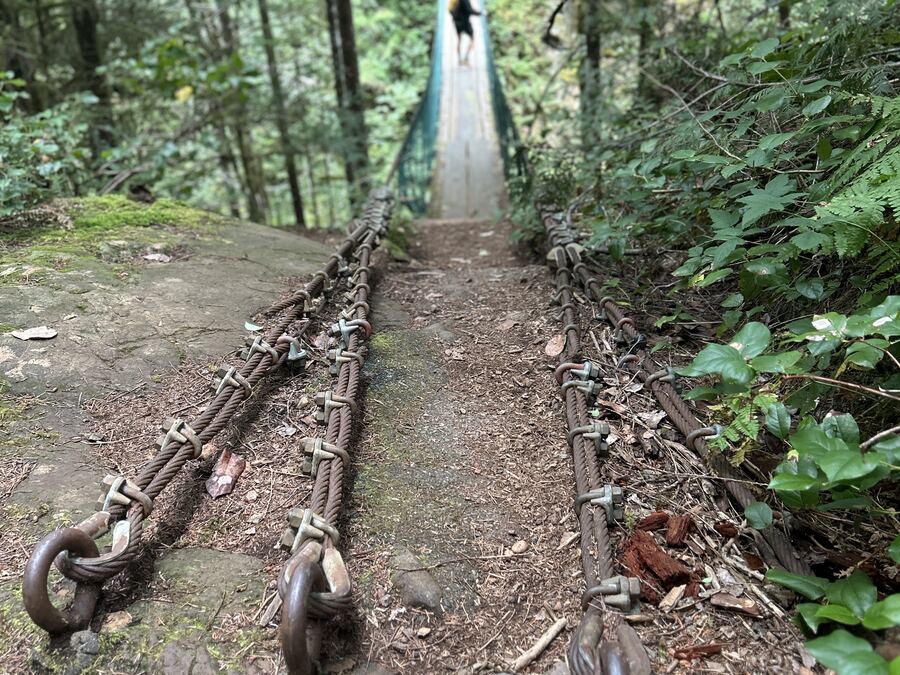 Crossing the suspension bridge over St. Andrew's Creek on the trail into Fossli Park near Sproat Lake