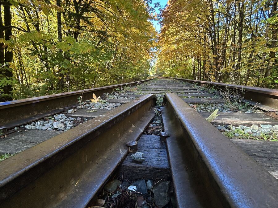 The old railway trestle along the Kitsuksis Dyke walking trail in Port Alberni, surrounded by autumn trees